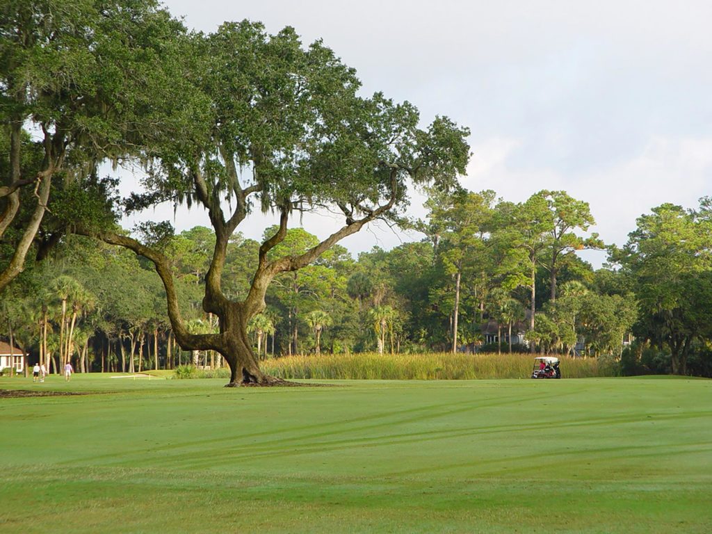 http://Seabrook%20Island%20golf%20include%2036%20holes%20and%202%20courses