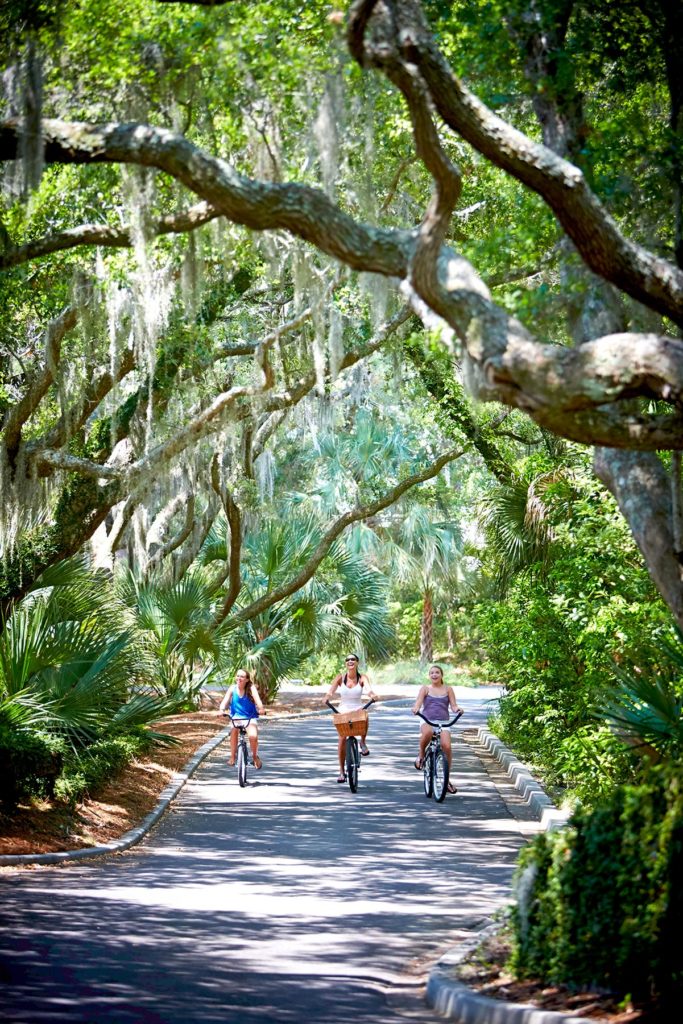 http://people%20biking%20under%20live%20oak%20trees%20on%20seabrook%20island