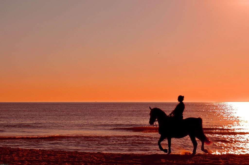 Saddle Up at Seabrook Island’s Equestrian Center Seabrook Island