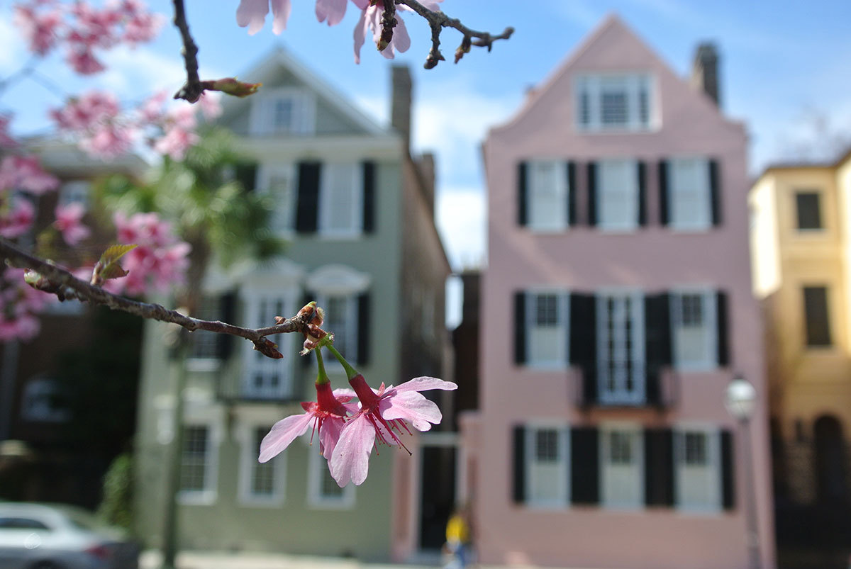spring in Charleston