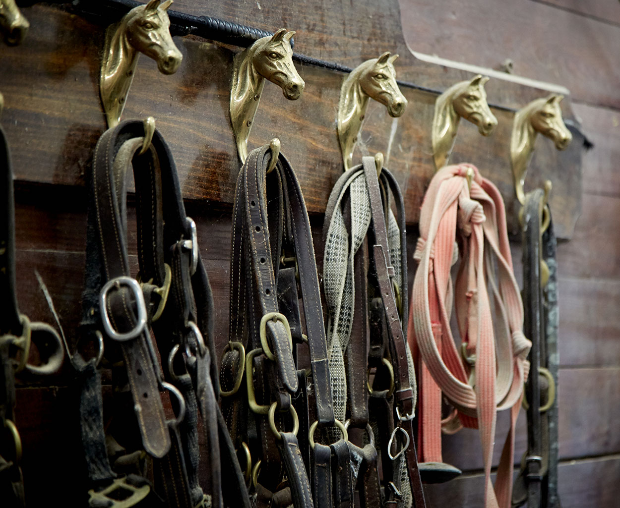 Equestrian Seabrook Island South Carolina