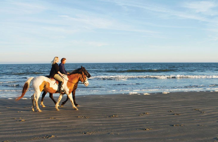 husband and wife riding horses on the beach