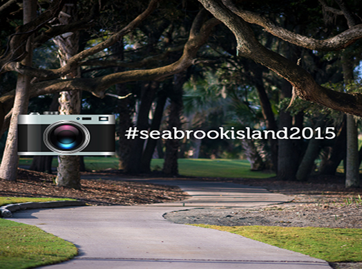 Seabrook Island Photo Contest