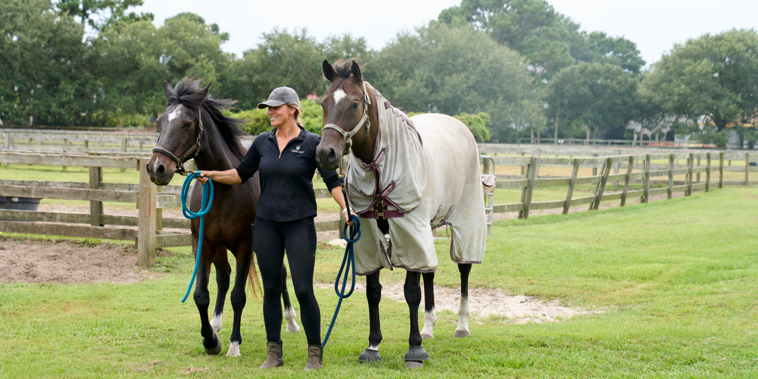 A woman walks two horses at the Seabrook Island Equestrian Center—one of the premier Seabrook Island amenities that enhance the lifestyle for those exploring Seabrook Island homes for sale.